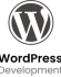 WordPress Development