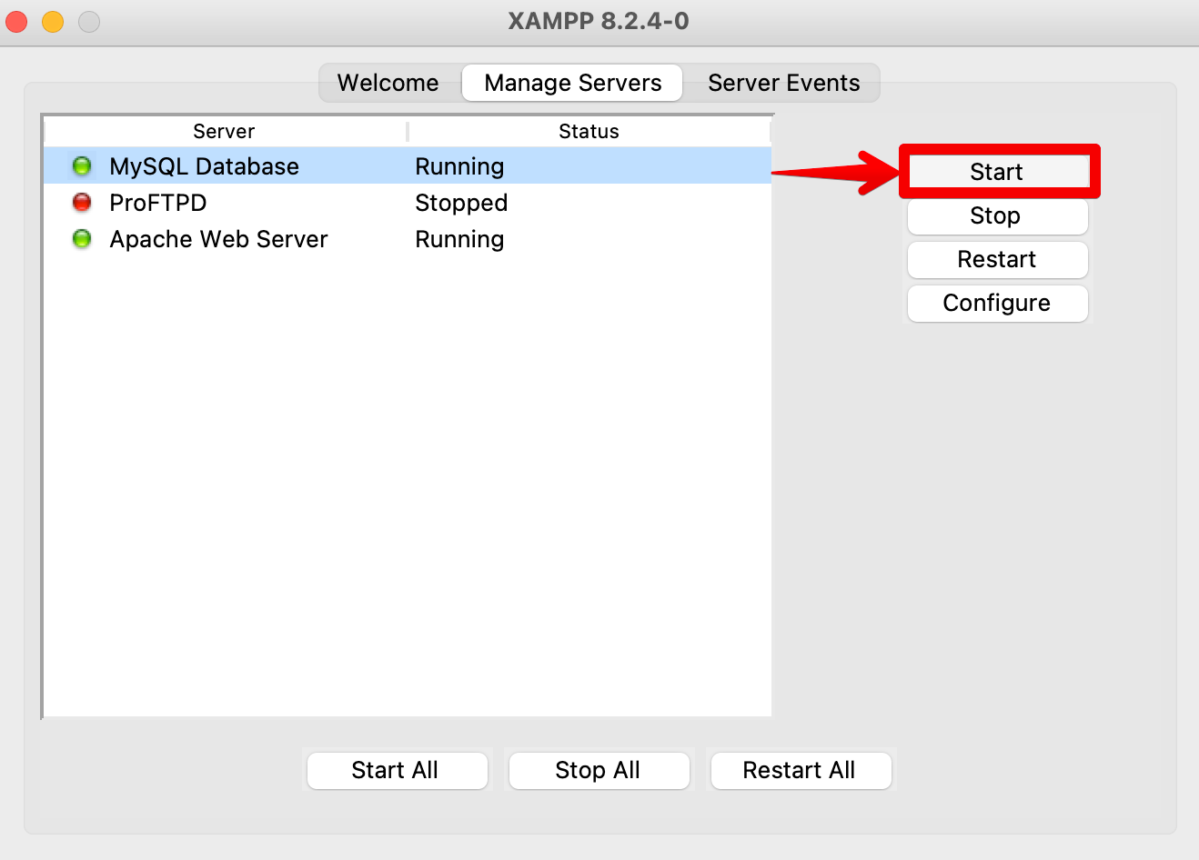 Start XAMPP database